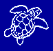 Medasset - Mediterranean Association
   to Save the Sea Turtles