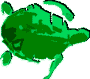 Seaturtle.org
